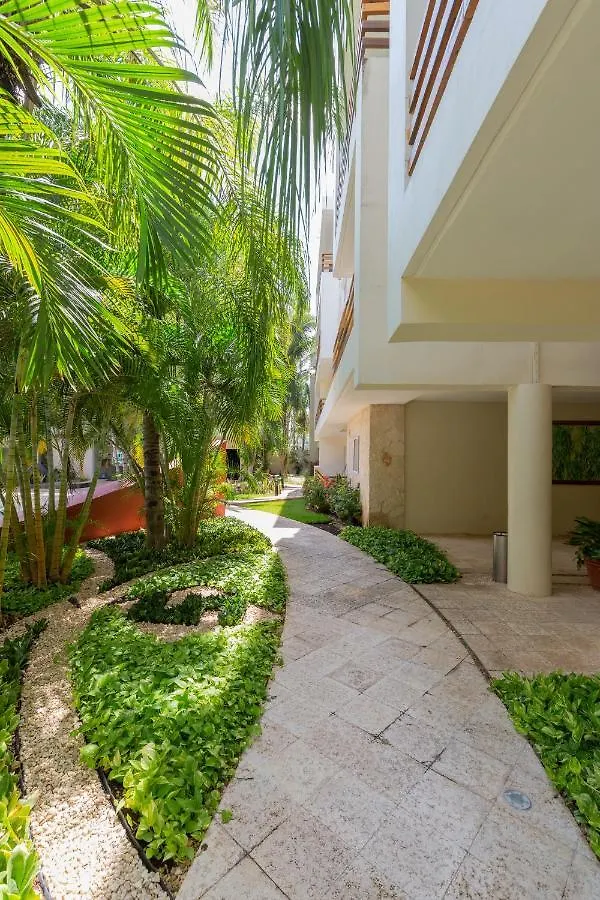 Apartment Phenomenal Combo Of 2 Separate Ph 1 In Playa Del Carmen With Private Jacuzzi, Chic Amenities, Gym And 2 Rooftops